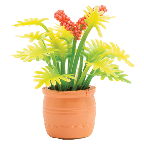 Plant with Pink Flowers in Terra Cotta Pot